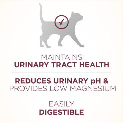 Purina ONE +Plus Urinary Tract Health Formula High Protein Adult Dry Cat Food