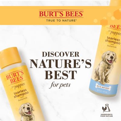 Show full view: Purina ONE SmartBlend Healthy Puppy Formula Dry Dog Food + Burt's Bees Tearless Puppy Shampoo with Buttermilk slide 9 of 9