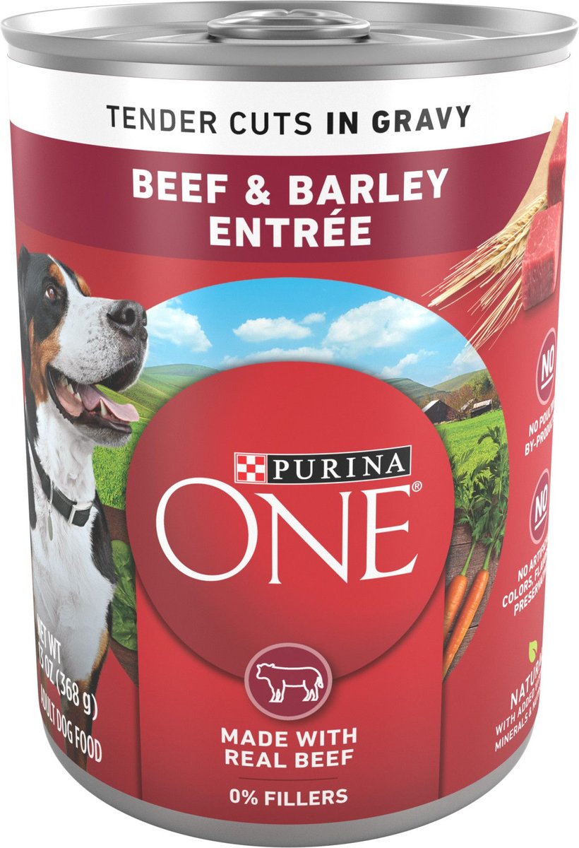 Purina ONE SmartBlend Tender Cuts in Gravy Beef & Barley Entree Adult Canned Dog Food