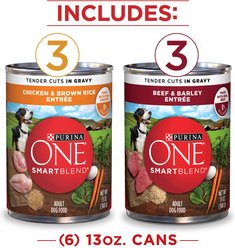 Purina ONE SmartBlend Tender Cuts in Gravy Variety Pack Wet Dog Food, 13-oz, case of 6 slide 2 of 9