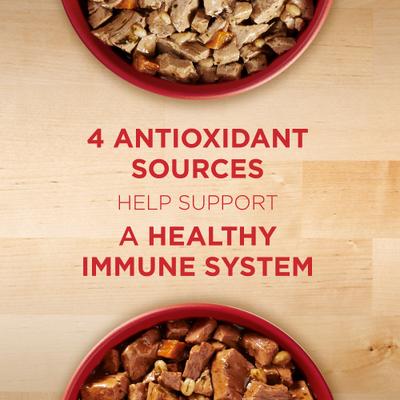 Show full view: Purina ONE SmartBlend Tender Cuts in Gravy Variety Pack Wet Dog Food, 13-oz, case of 6 slide 4 of 11