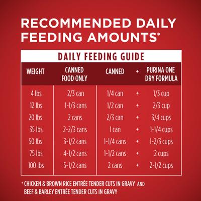 Show full view: Purina ONE SmartBlend Tender Cuts in Gravy Variety Pack Wet Dog Food, 13-oz, case of 6 slide 10 of 11