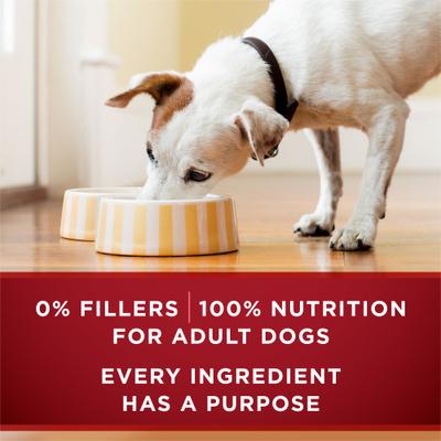 Show full view: Purina ONE SmartBlend True Instinct Tender Cuts In Gravy Real Beef & Bison Wet Dog Food, 13-oz can, case of 12 slide 7 of 12