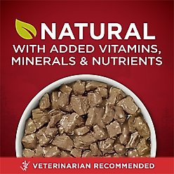 Purina ONE SmartBlend True Instinct Tender Cuts in Gravy with Real Beef & Wild-Caught Salmon Canned Dog Food, 13-oz, case of 12 slide 2 of 9