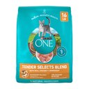 Purina ONE Tender Selects Blend with Real Chicken Digestive Formula Dry Cat Food, 16-lb bag