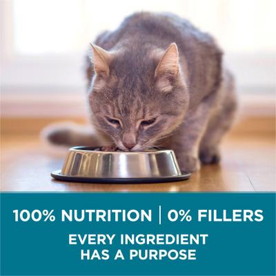 Show full view: Purina ONE Tender Selects Blend with Real Chicken Digestive Formula Dry Cat Food, 22-lb bag slide 7 of 10