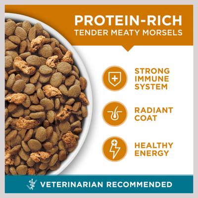 Show full view: Purina ONE Tender Selects Blend with Real Chicken Dry Food + True Instinct Turkey, Chicken & Tuna Variety Pack Canned Cat Food slide 4 of 9