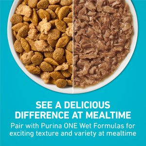 Purina ONE Tender Selects Blend with Real Chicken Natural Dry Cat Food, 16-lb bag