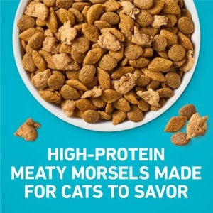 Purina ONE Tender Selects Blend with Real Chicken Natural Dry Cat Food, 3.5-lb bag