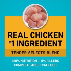 Purina ONE Tender Selects Blend with Real Chicken Natural Dry Cat Food, 3.5-lb bag