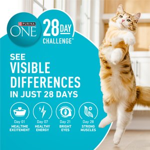 Purina ONE Tender Selects Blend with Real Chicken Natural Dry Cat Food, 3.5-lb bag