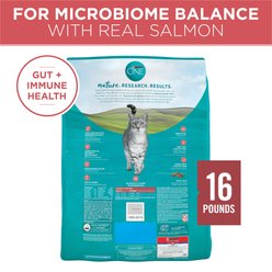 Purina ONE Tender Selects Blend with Real Salmon Dry Cat Food, 16-lb bag slide 2 of 7