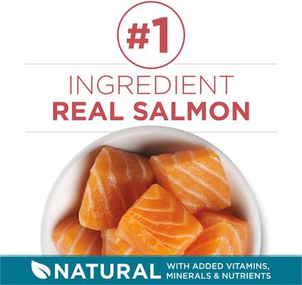 Show full view: Purina ONE Tender Selects Blend with Real Salmon Dry Cat Food, 16-lb bag slide 4 of 12