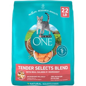 Purina ONE Tender Selects Blend with Real Salmon Dry Cat Food, 22-lb bag