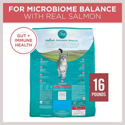 Purina ONE Tender Selects Blend with Real Salmon Dry Cat Food