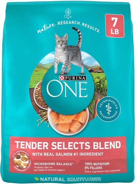 Purina ONE Tender Selects Blend Real Salmon Dry Cat Food