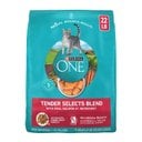 Purina ONE Tender Selects Blend with Real Salmon Natural Dry Cat Food, 22-lb bag