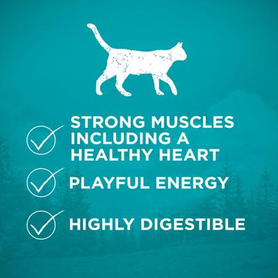 Show full view: Purina ONE True Instinct Natural Real Chicken Plus Vitamins & Minerals High Protein Grain-Free Dry Cat Food, 6.3-lb bag slide 5 of 10