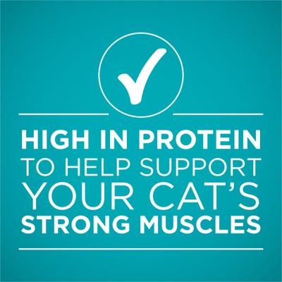 Show full view: Purina ONE Natural Turkey, Chicken & Tuna Variety Pack High Protein Wet Cat Food, 3-oz can, bundle of 36  slide 10 of 13