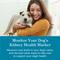 Show in main carousel: Purina Petivity At-Home Kidney Health Test Kit for Dogs, 1 count slide 4 of 8