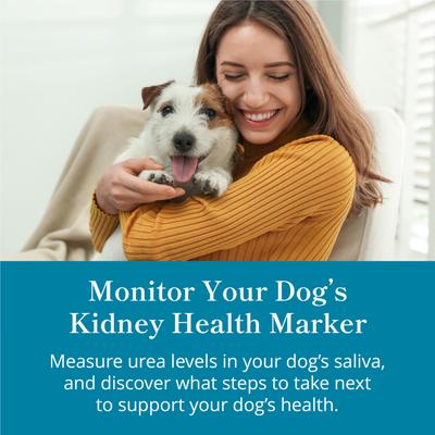Show full view: Purina Petivity At-Home Kidney Health Test Kit for Dogs, 1 count slide 4 of 8