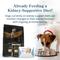 Show in main carousel: Purina Petivity At-Home Kidney Health Test Kit for Dogs, 1 count slide 7 of 8
