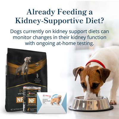 Show full view: Purina Petivity At-Home Kidney Health Test Kit for Dogs, 1 count slide 7 of 8