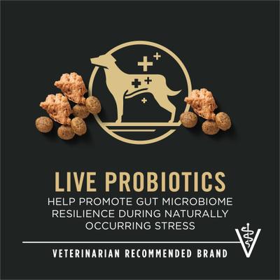 Show full view: Purina Pro Plan Complete Essentials Adult 7+ Shredded Blend Adult Chicken & Rice High Protein Formula with Probiotics Small Breed Dry Dog Food, 18-lb bag slide 4 of 12