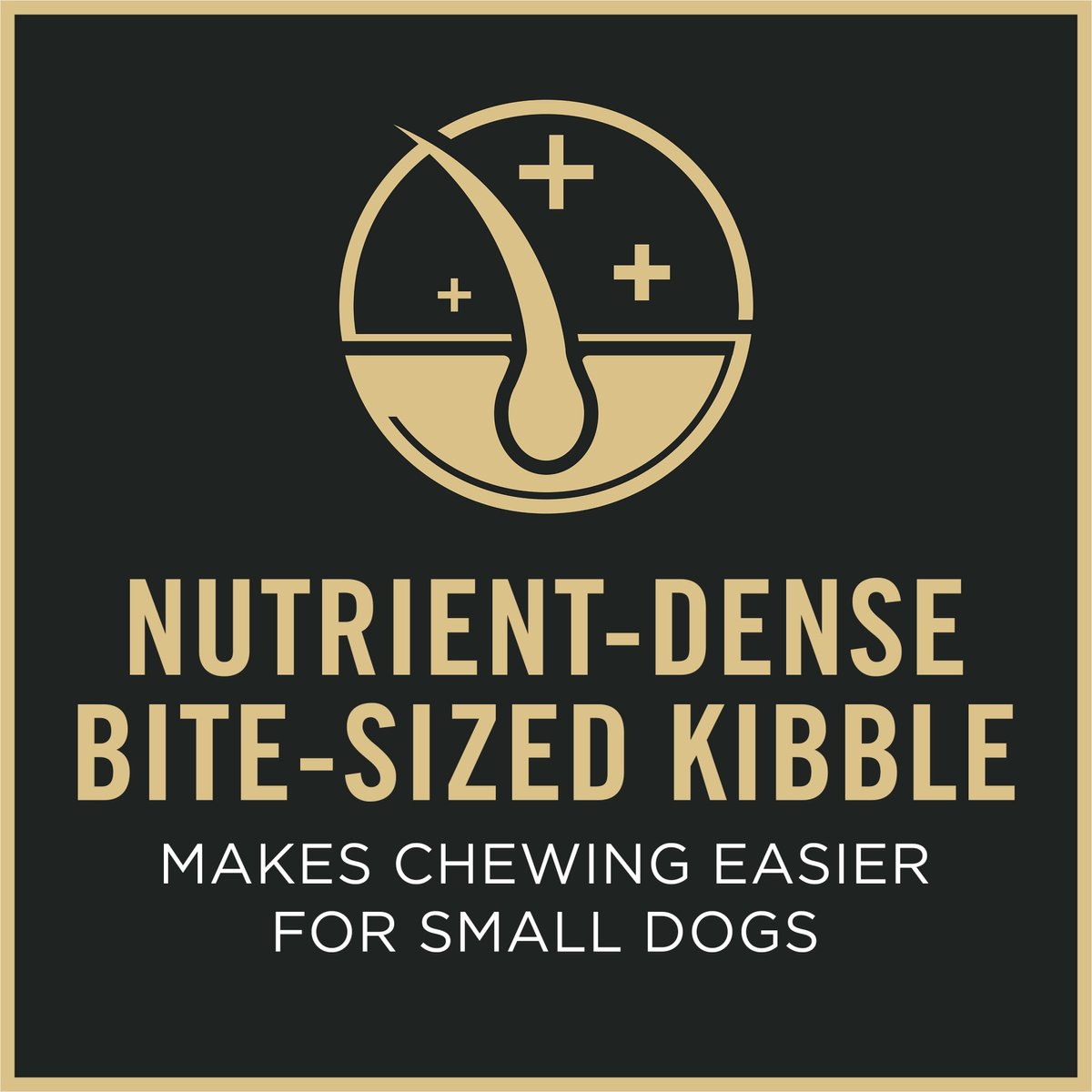 PURINA PRO PLAN 7 Plus Shredded Blend Senior Chicken & Rice Formula ...