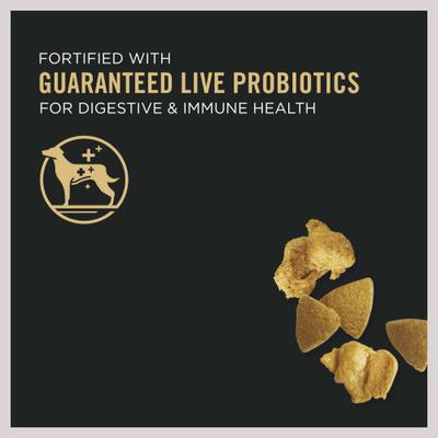 Show full view: Purina Pro Plan Adult Shredded Blend Chicken & Rice Formula Dry Food, 6-lb bag + Canned Dog Food slide 4 of 9