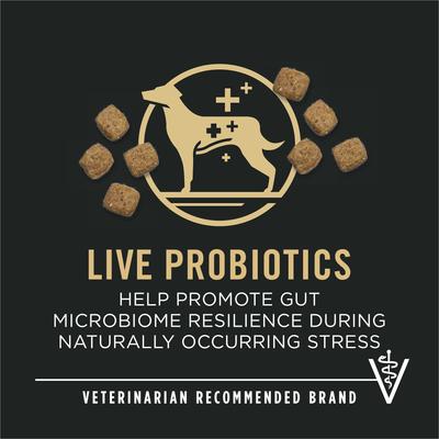 Show full view: Purina Pro Plan Bright Mind Adult 7+ Small Breed Formula Dry Dog Food, 5-lb bag slide 8 of 11