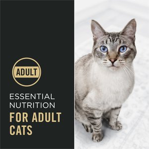 Purina Pro Plan Complete Essentials Chicken & Rice Formula Adult Dry Cat Food, 16-lb bag
