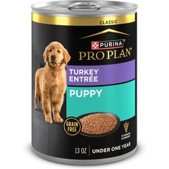 Purina Pro Plan Development Puppy Classic Turkey Entree Grain-Free Canned Dog Food, 13-oz, case of 12