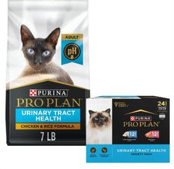 Purina Pro Plan Focus Adult Urinary Tract Health Formula Dry Food+ Seafood Favorites Variety Pack Canned Cat Food