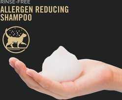 Purina Pro Plan LiveClear Rinse-Free Allergen Reducing Cat Shampoo Spray, 8.5-fl oz bottle slide 2 of 8