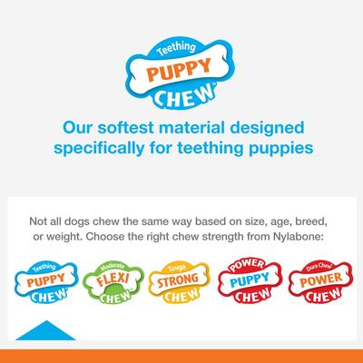 Show full view: Purina Pro Plan Puppy Chicken & Rice Formula Dry Dog Food + Nylabone Teething Pacifier Chew Toy slide 8 of 9