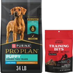 Purina Pro Plan Puppy Large Breed Chicken & Rice Formula with Probiotics Dry Food + American Journey Beef Recipe Grain-Free Soft & Chewy Training Bits Dog Treats
