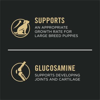 Show full view: Purina Pro Plan Puppy Large Breed Chicken & Rice Formula with Probiotics Dry Food + American Journey Beef Recipe Grain-Free Soft & Chewy Training Bits Dog Treats slide 5 of 9