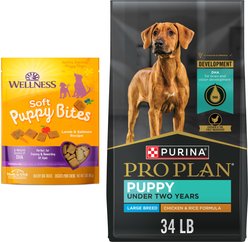 Purina Pro Plan Puppy Large Breed Chicken & Rice Formula with Probiotics Dry Food + Wellness Soft Puppy Bites Lamb & Salmon Recipe Grain-Free Dog Treats