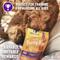 Show in main carousel: Purina Pro Plan Puppy Shredded Blend Chicken & Rice Formula with Probiotics Dry Food + Wellness Soft Puppy Bites Lamb & Salmon Recipe Grain-Free Dog Treats slide 9 of 9