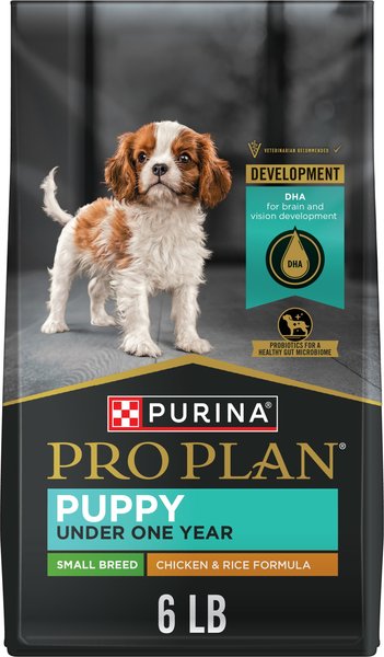 Purina Pro Plan Focus Chicken & Rice Formula Puppy Small Breed Dry Dog Food