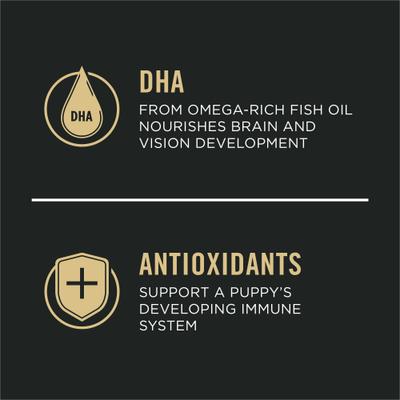 Show full view: Purina Pro Plan Puppy Toy Breed Chicken & Rice Formula Dry Dog Food, 5-lb bag slide 4 of 12