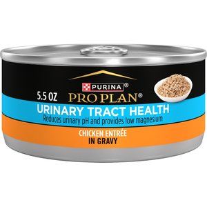 Wellness CORE+ Immune Health Chicken & Turkey Natural Grain-Free Pate Wet Cat Food, 2.8-oz can, case of 12