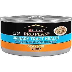 Wellness CORE+ Immune Health Chicken & Turkey Natural Grain-Free Pate Wet Cat Food, 2.8-oz can, case of 12