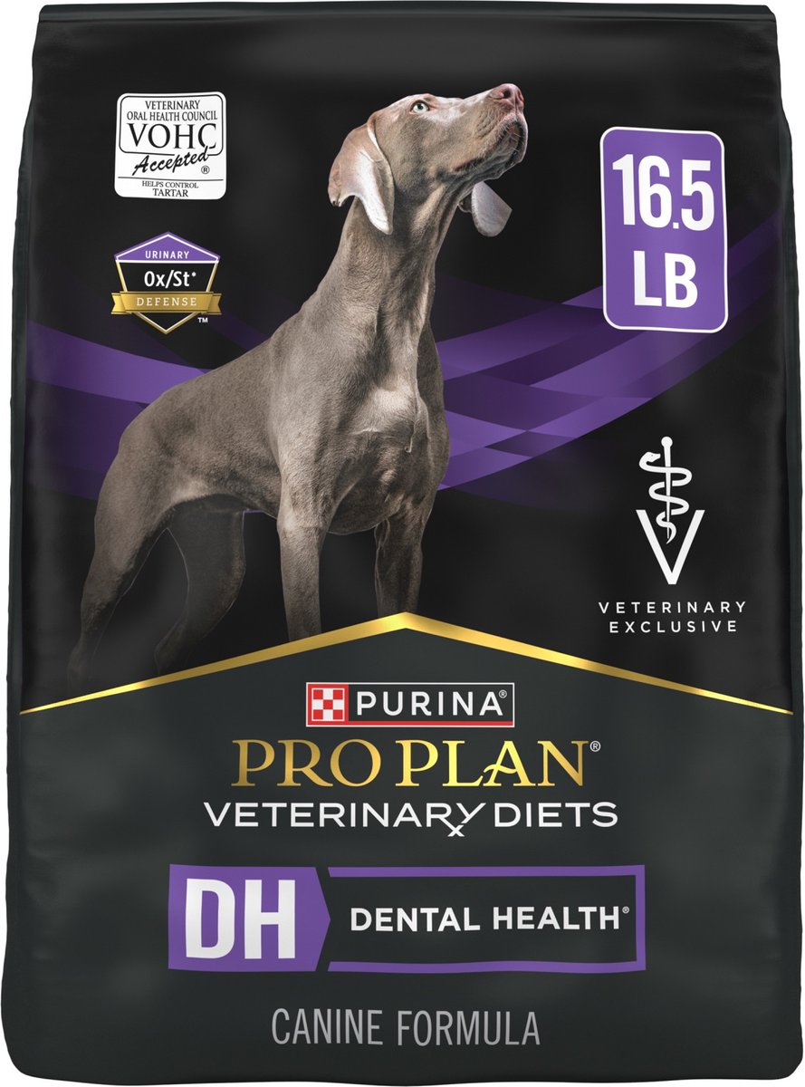 dog-food-for-healthy-teeth