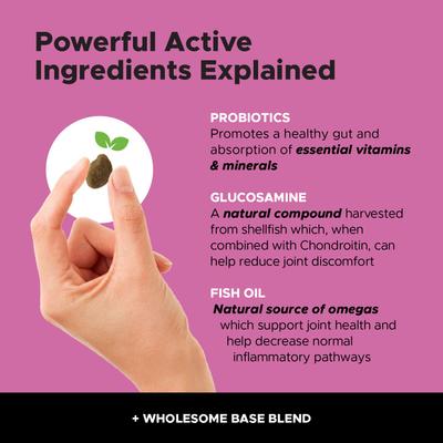 Show full view: Purina Pro Plan Veterinary Diets FortiFlora Powder Digestive Supplement + PetHonesty 10-for-1 Chicken Flavored Soft Chews Multivitamin for Dogs slide 4 of 9