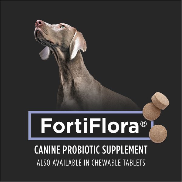 Purina Pro Plan Veterinary Diets FortiFlora Powder Digestive Supplement for Dogs
