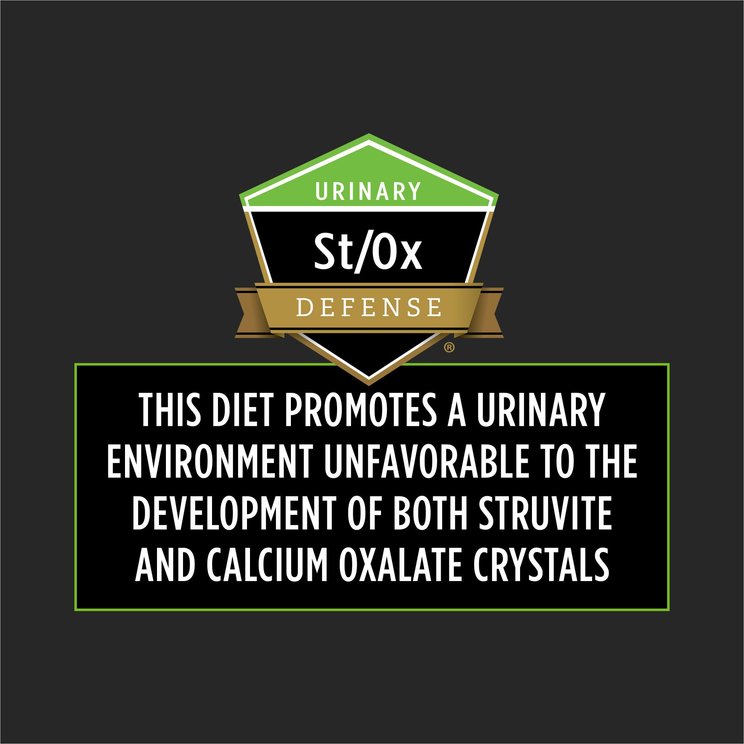 hydrolyzed diet cat