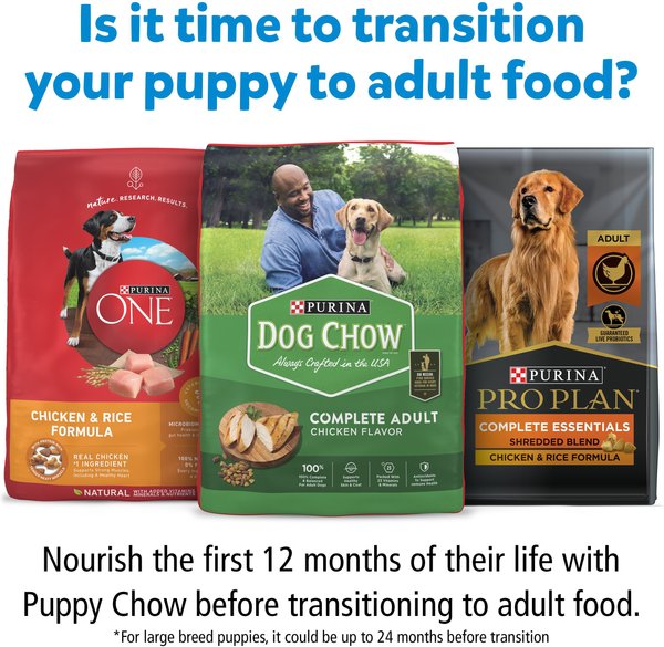 Purina Puppy Dog Chow Canned Food Purina Puppy Chow Pate Real Beef