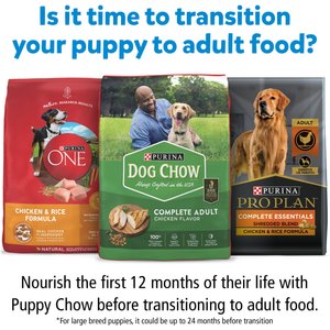 Purina Puppy Chow Pate Real Beef & Chicken Wet Puppy Food Variety Pack, 5.5-oz can, case of 8